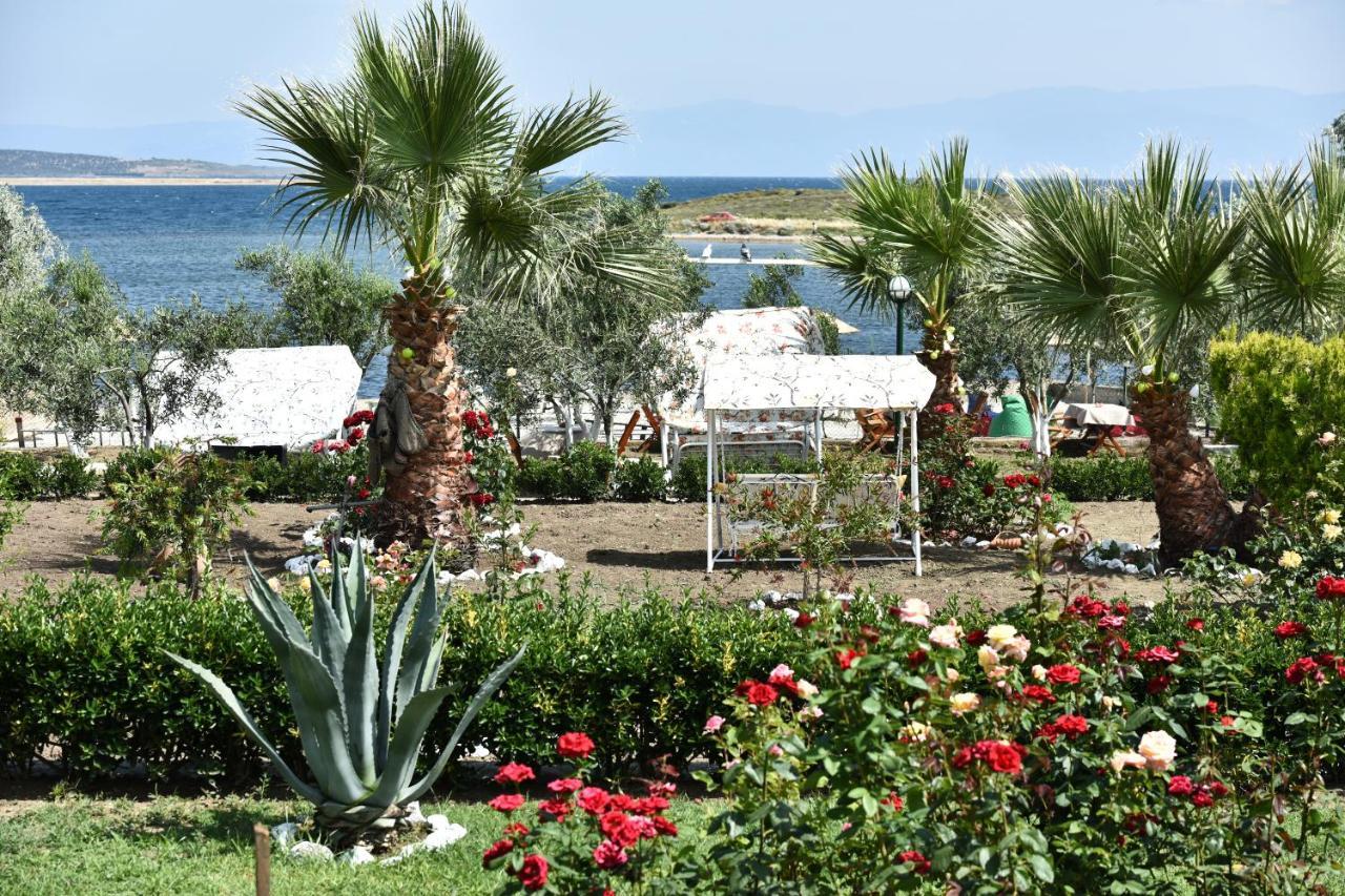 Cunda Asiyan Otel Ayvalı Εξωτερικό φωτογραφία
